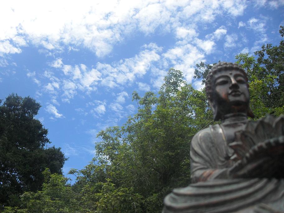 Tiny Buddha 2