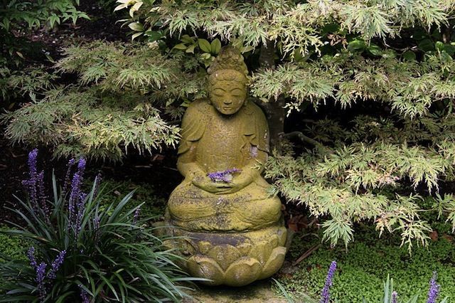 Buddha