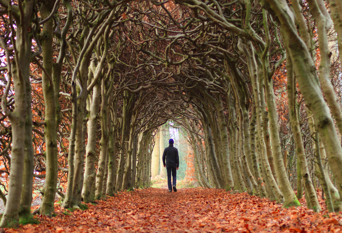 Man Walking Alone