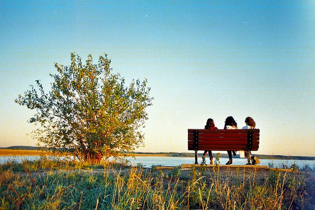 Friends