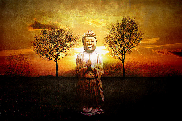 Calm Acceptance