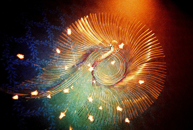 Triple Phoenix