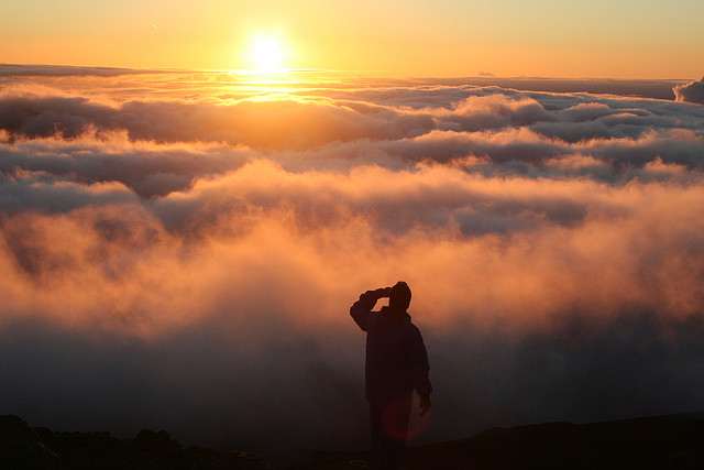 Looking into the Horizon
