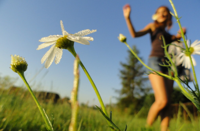Dancing in a Field of Flowers