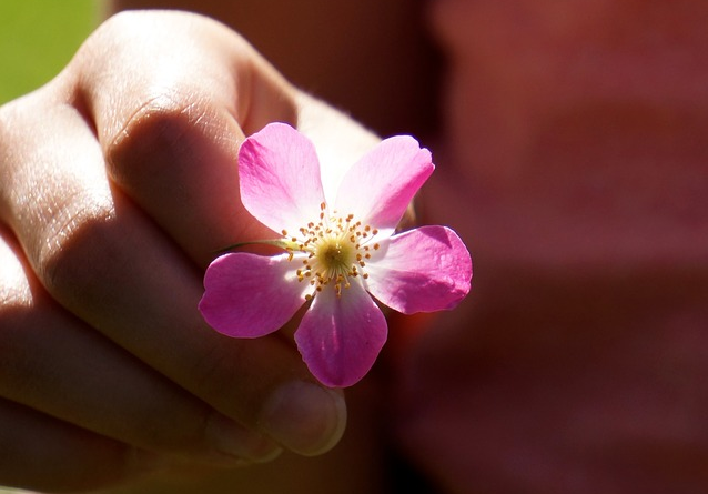 Flower for You