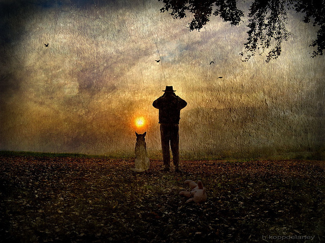 Seeker