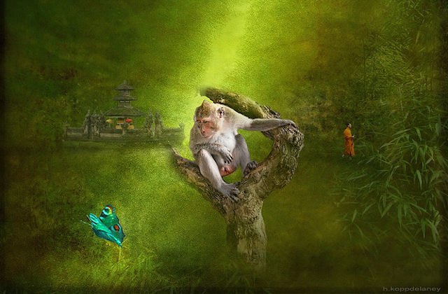 Monkey Mind