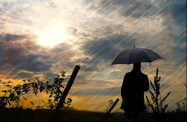 Weathering the Storm
