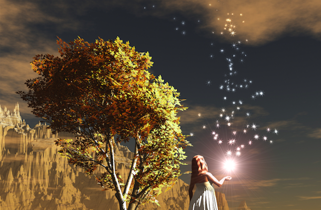 Reach for the stars