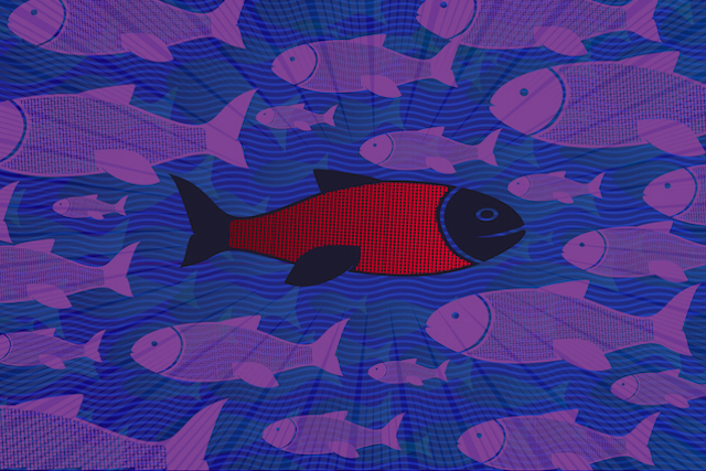 Fish Swimming Against the Stream