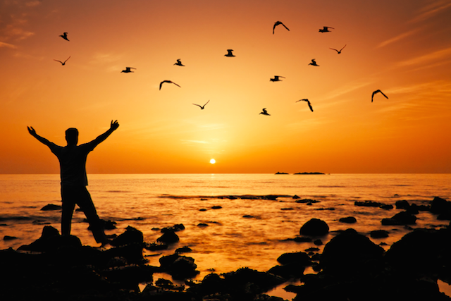 Man and Birds