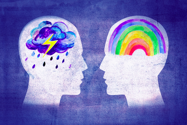 Two Kinds of Brains