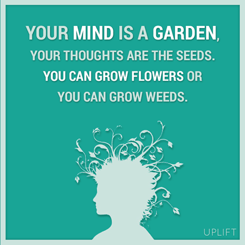 Your mind is a garden