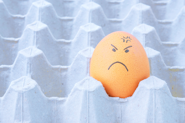 Angry Egg
