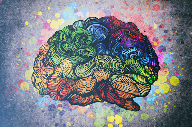 Brain