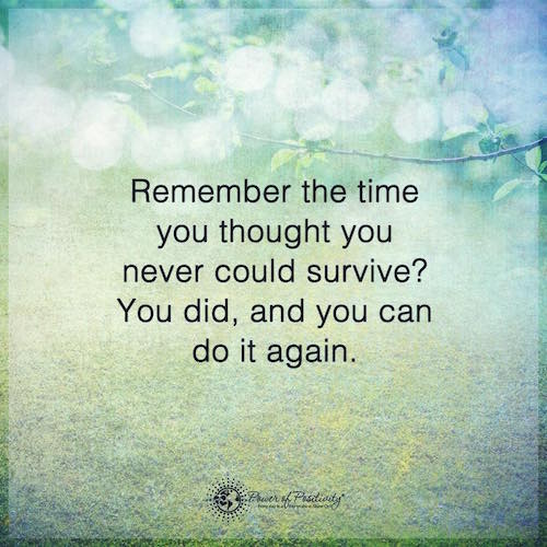 You Survived