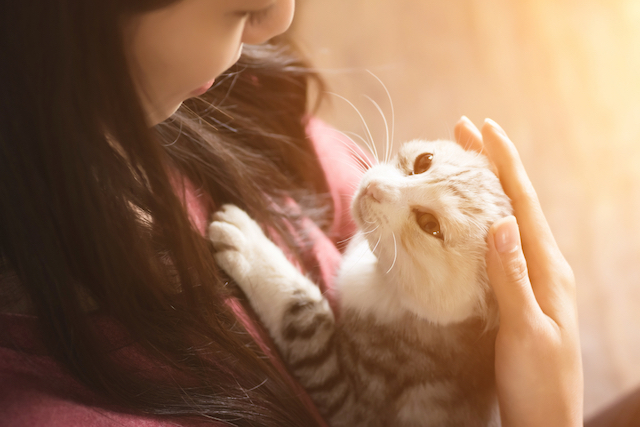 Woman and a Kitten