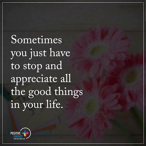 Stop and appreciate