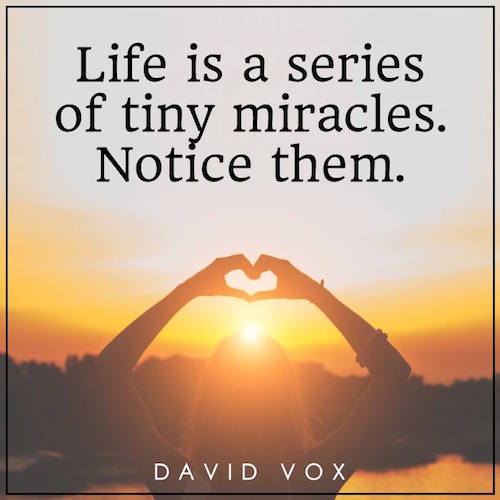 Tiny miracles