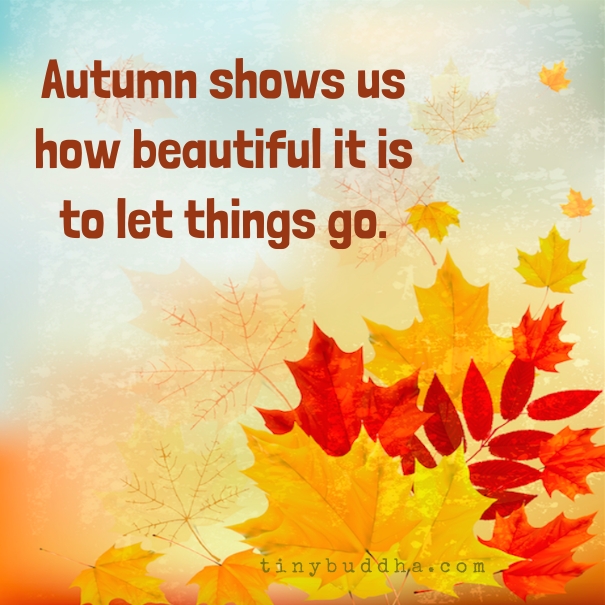 let-things-go
