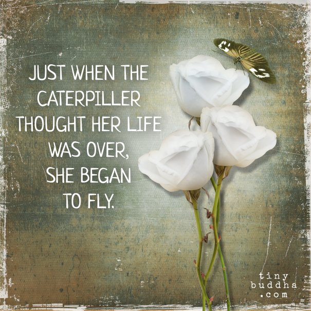 Caterpillar