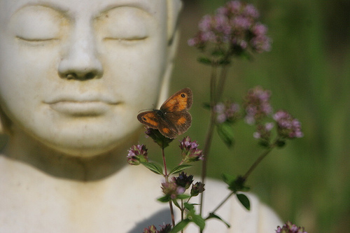 Book Giveaway and Review: A Lamp in the Darkness