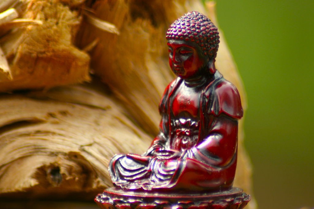 A Year of Tiny Buddha and a New Design!