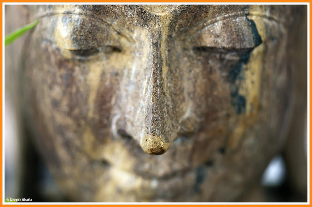 Pema Chodron Retreat Giveaway