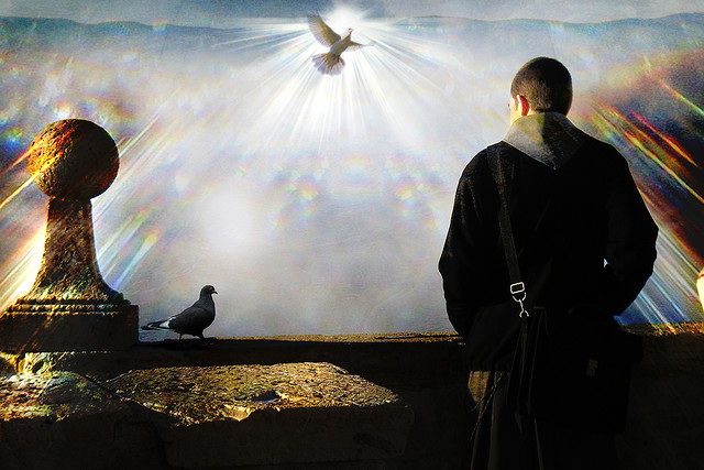 In Pursuit of Peace: Why It’s Hard to Find Serenity