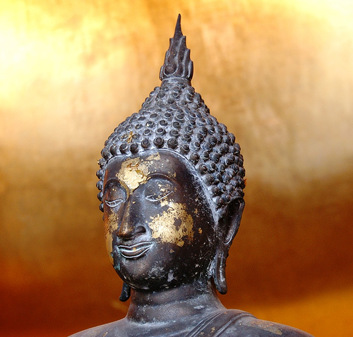 Tiny Wisdom: On Being Seen