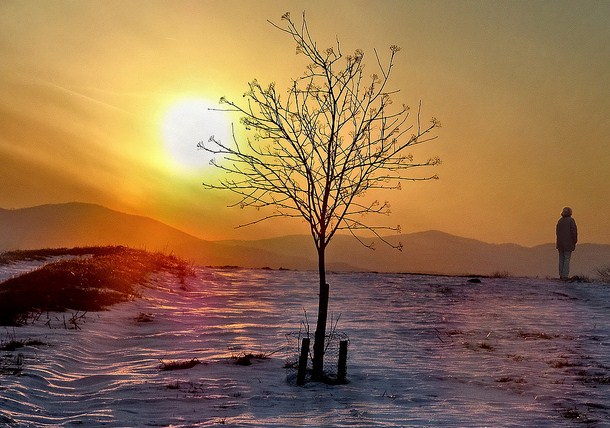 5 Immediate and Easy Ways to Silence Your Inner Critic