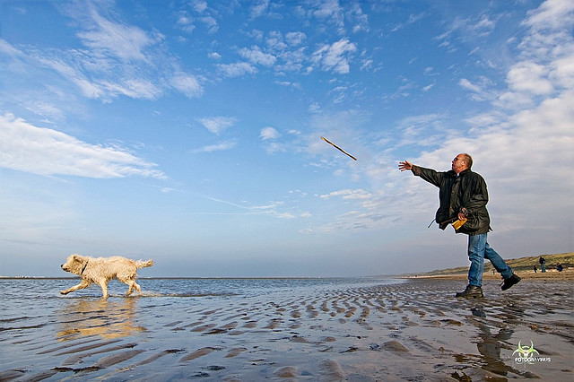 10 Ways to Make Your Life More Playful