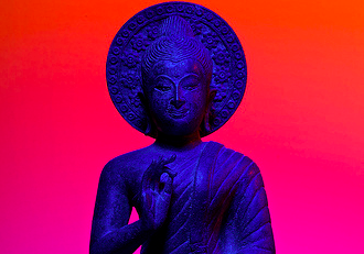 Tiny Wisdom: The Power of Flexibility