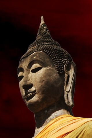 Tiny Wisdom: When It’s Best to Stay Out of It