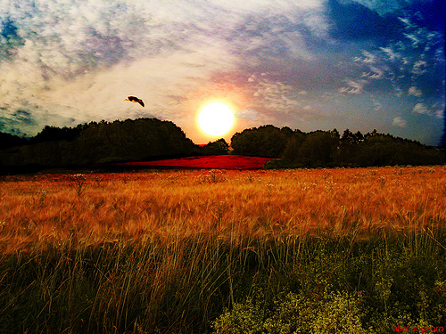 Feeling Love Outside of a Relationship