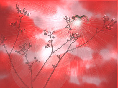 Reclaiming Valentine’s Day: 4 Real Expressions of Love