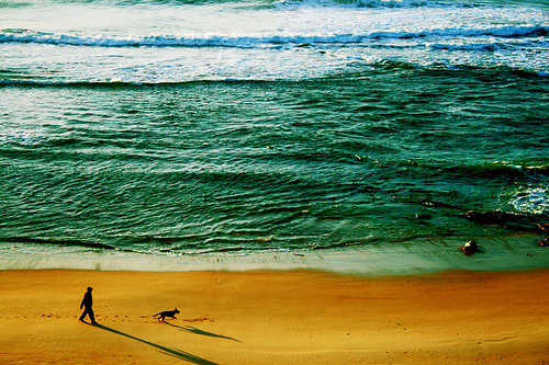 Releasing the Urge to Push and Being Kind to Yourself Instead