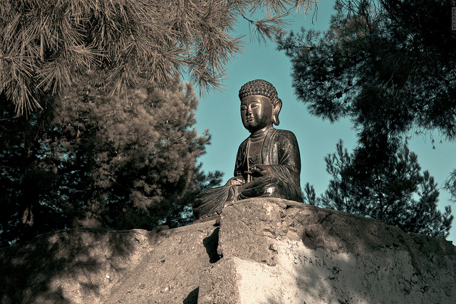 Tiny Wisdom: This Moment is a Chance to Be Free