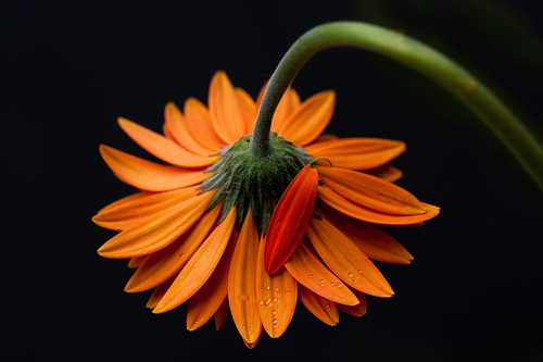 4 Lessons about Perfection Born from 1000 Failures