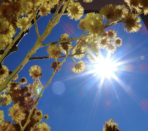 Finding the Keys to Your Happiness