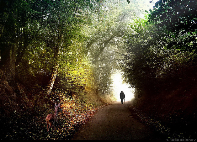 3 Tools to Help You Crush Your Fears