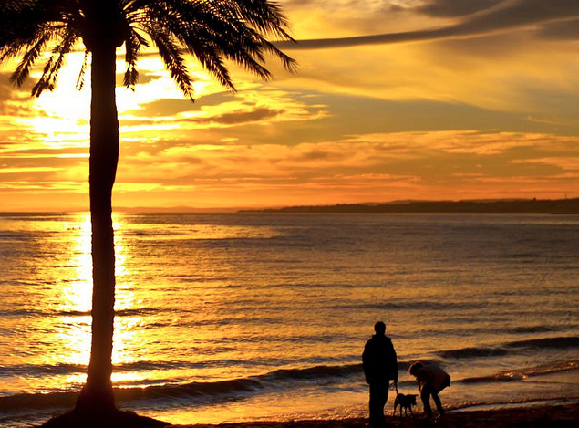 Fuel Your Dreams with Simple Daily Habits