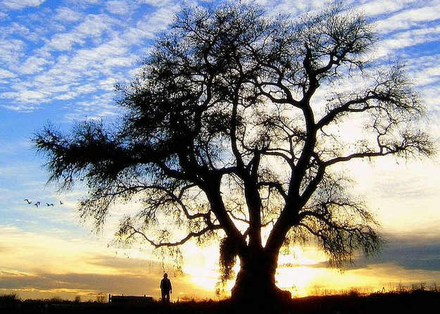 Small Steps to Help You Act in Spite of Your Fear