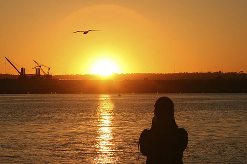 How Curiosity Can Help Us Heal from Pain and Grow