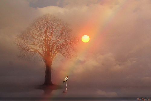 The Difference Between Forgiving and Forgetting