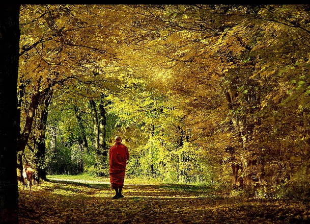 Life Is Shaping Us Through Our Dreams