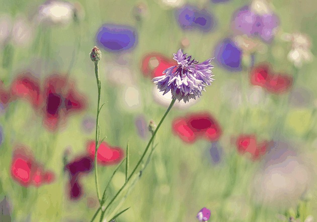 A Beautiful Thing Is Never Perfect