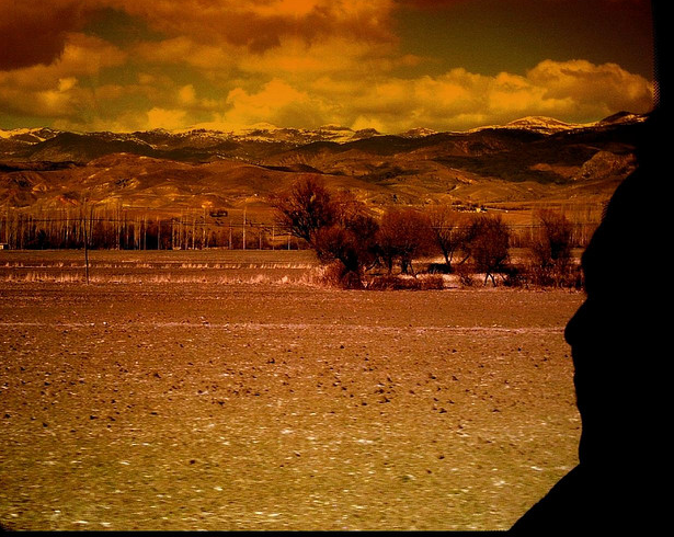 Why You Have 43 More Choices That Matter in Life (or Not)