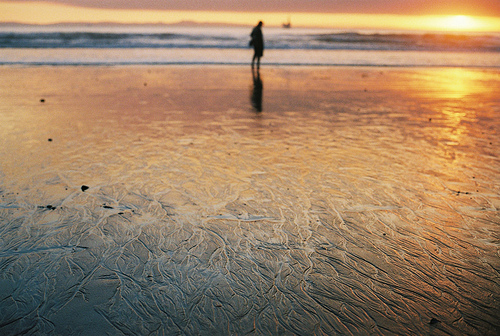 The Beauty of Nothing: Reflections on Impermanence