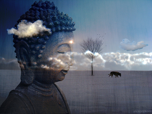 How Pain Can Guide Us and Make Us Whole